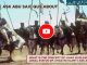 What is the concept of jihad in Islam